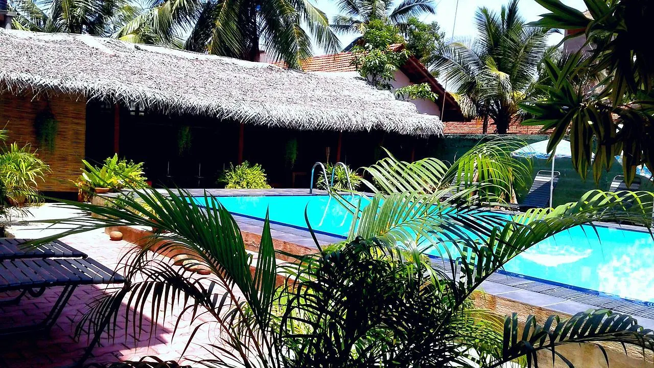 The Blue Beach Guesthouse Negombo 3*,  Šrí Lanka